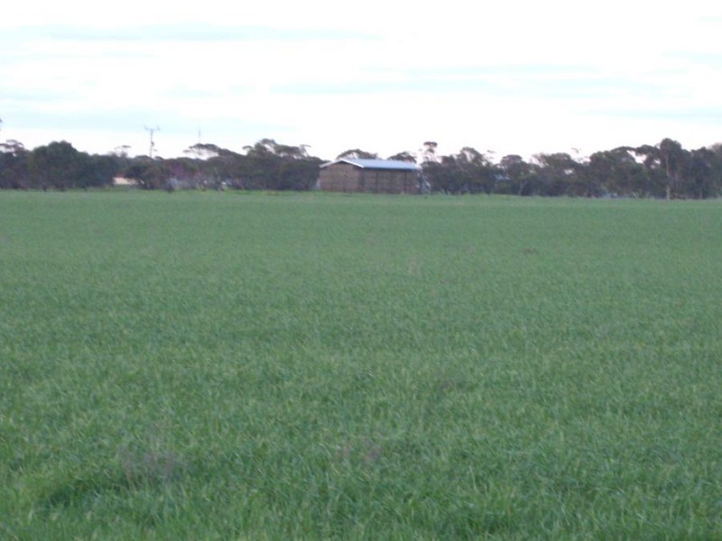 4, 41 and 42 Mallee Highway, Lameroo SA 5302