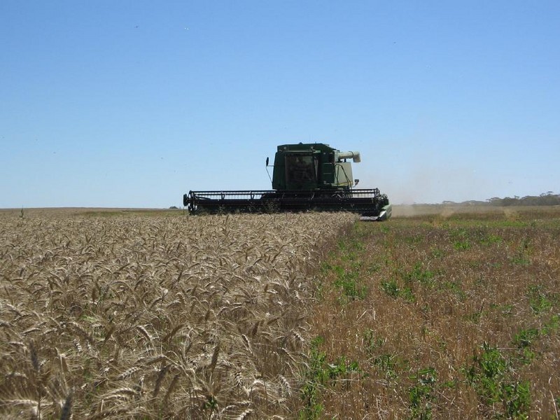 4, 41 and 42 Mallee Highway, Lameroo SA 5302