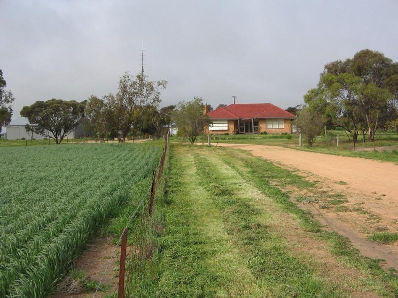 4, 41 and 42 Mallee Highway, Lameroo SA 5302