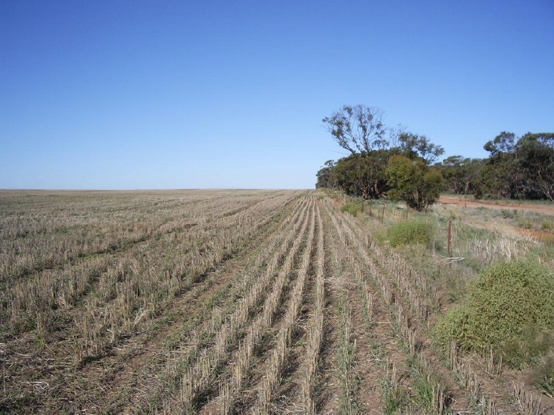 4, 41 and 42 Mallee Highway, Lameroo SA 5302