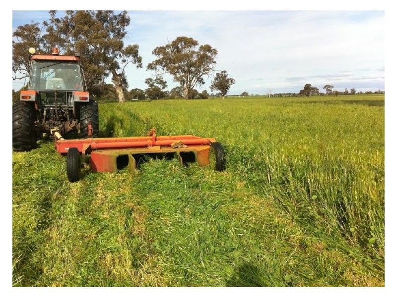 Dalmally Pigeon Flat Rd, Bordertown SA 5268