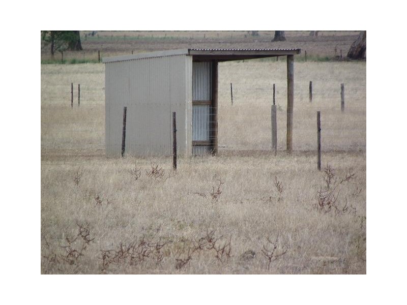 Dalmally Pigeon Flat Rd, Bordertown SA 5268