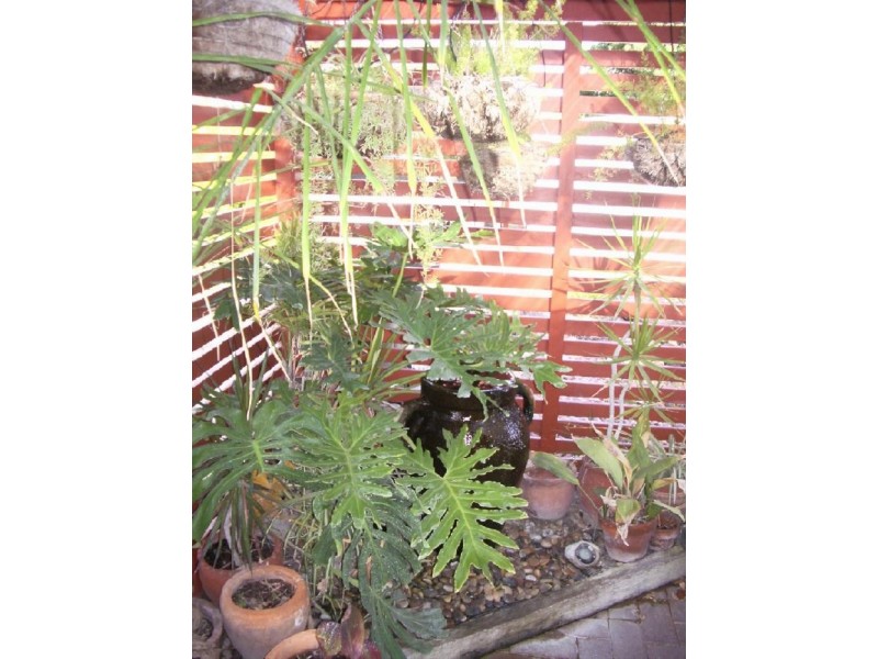 33 Campbell Street, Bordertown SA 5268