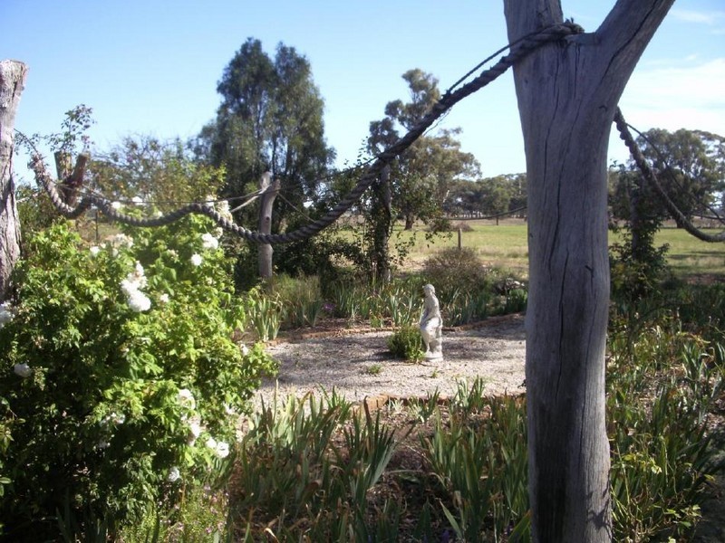 489 Old Padthaway Road, Mundulla SA 5270