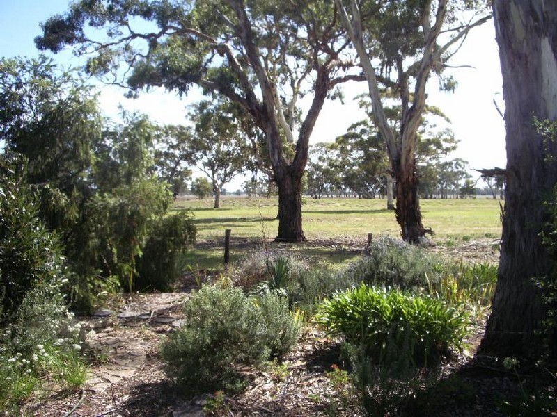 489 Old Padthaway Road, Mundulla SA 5270