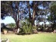 489 Old Padthaway Road, Mundulla SA 5270