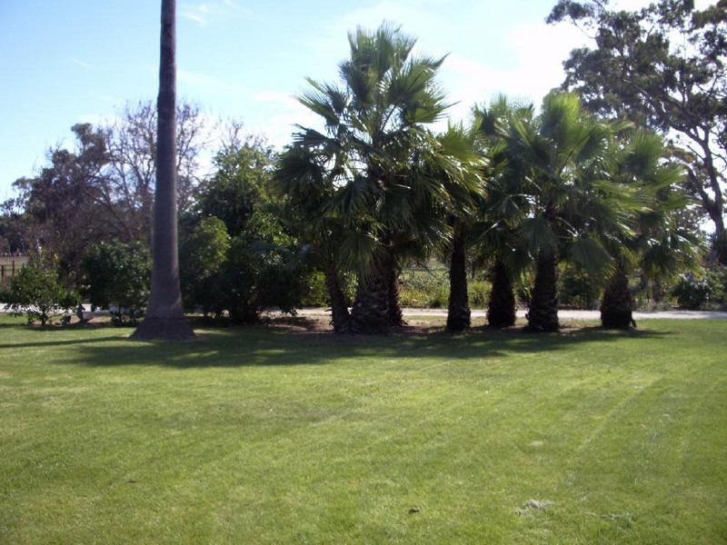 489 Old Padthaway Road, Mundulla SA 5270