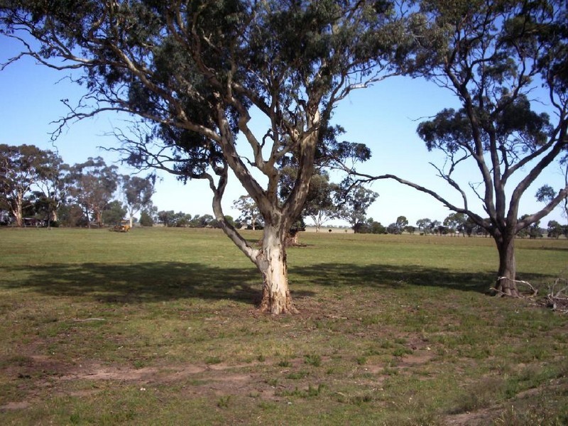 489 Old Padthaway Road, Mundulla SA 5270