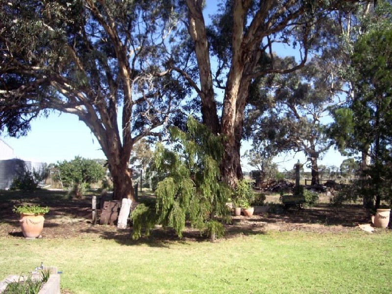 489 Old Padthaway Road, Mundulla SA 5270