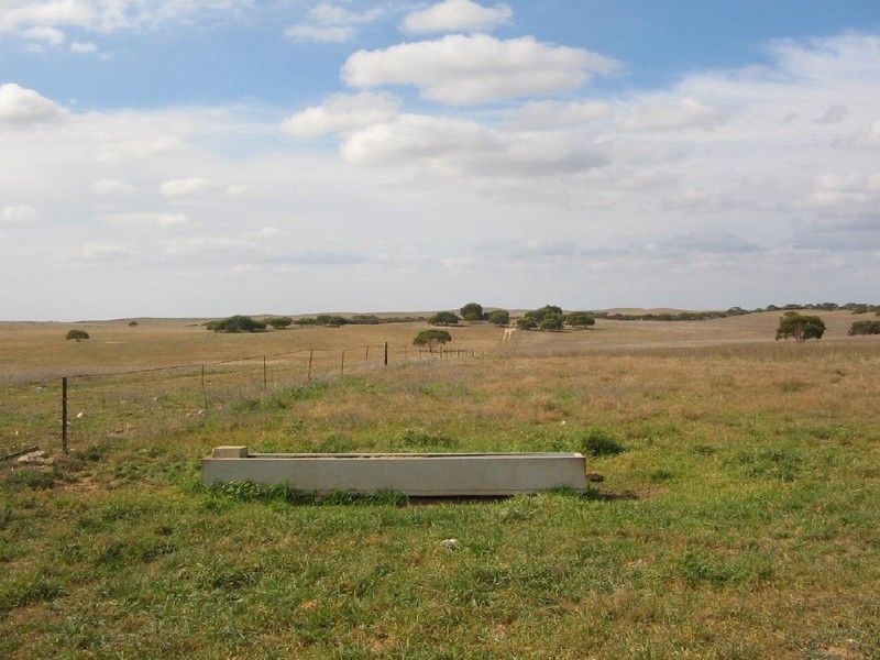 Section 7 Carcuma Road, Coonalpyn SA 5265