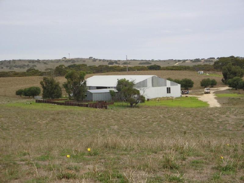 Section 7 Carcuma Road, Coonalpyn SA 5265