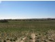 Section 112 Kulkami Muplata Road, Lameroo SA 5302