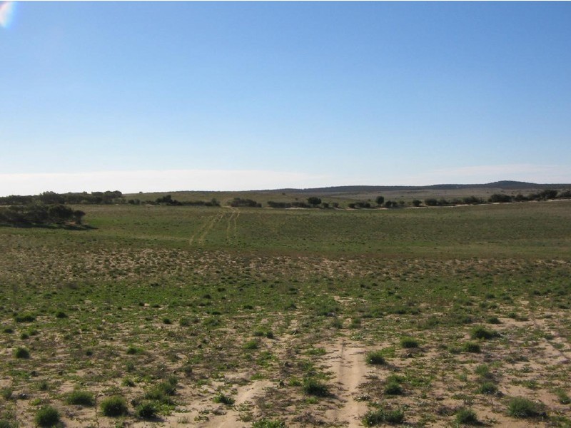 Section 112 Kulkami Muplata Road, Lameroo SA 5302