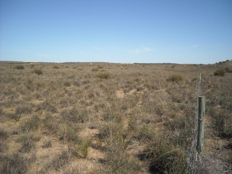 Section 112 Kulkami Muplata Road, Lameroo SA 5302