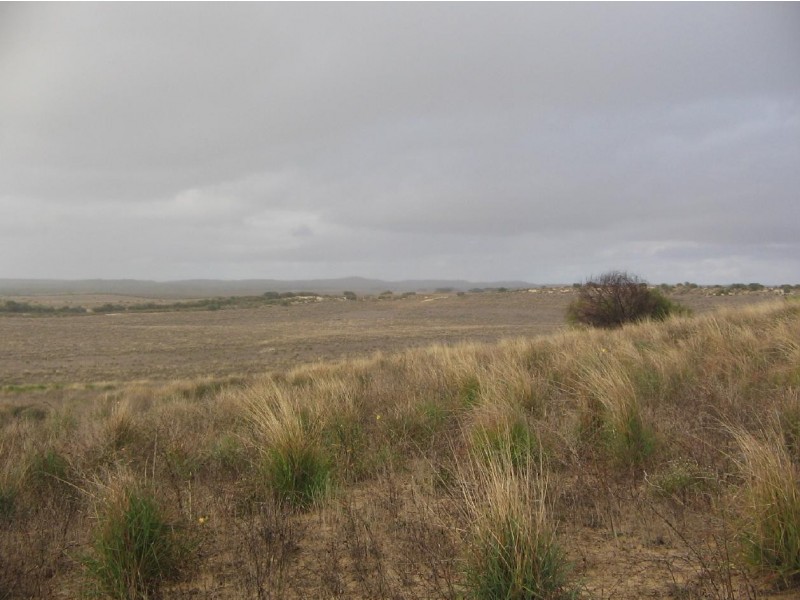 Section 112 Kulkami Muplata Road, Lameroo SA 5302