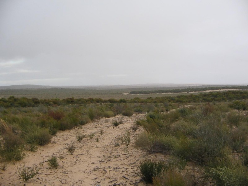 Section 112 Kulkami Muplata Road, Lameroo SA 5302
