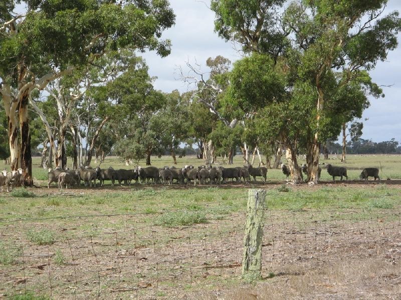 Lot 21 Hutchison Rd, Bordertown SA 5268