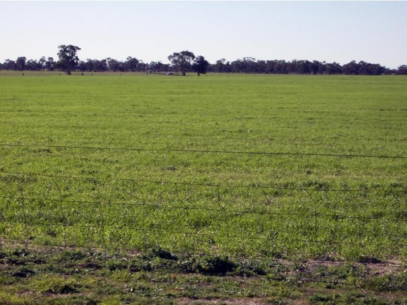 Lot 21 Hutchison Rd, Bordertown SA 5268