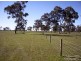 Lot 21 Hutchison Rd, Bordertown SA 5268