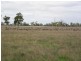 Lot 21 Hutchison Rd, Bordertown SA 5268