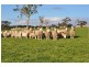 Section 58 Padthaway Rd, Padthaway SA 5271