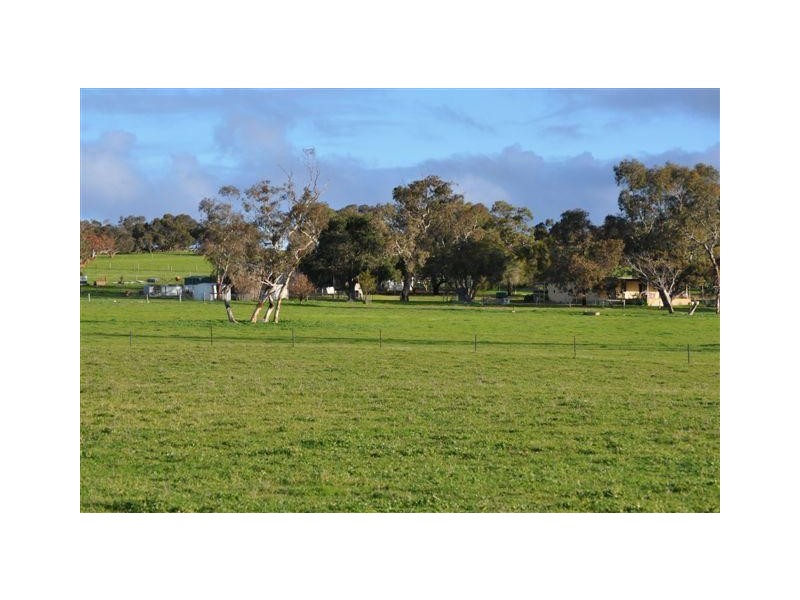 Section 58 Padthaway Rd, Padthaway SA 5271