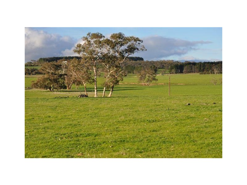 Section 58 Padthaway Rd, Padthaway SA 5271