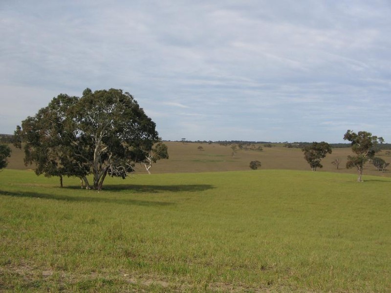 Section 58 Padthaway Rd, Padthaway SA 5271