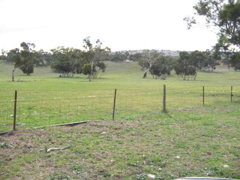 Section 58 Padthaway Rd, Padthaway SA 5271