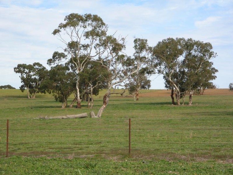 Section 58 Padthaway Rd, Padthaway SA 5271