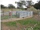 Section 58 Padthaway Rd, Padthaway SA 5271