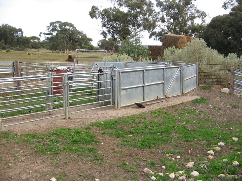 Section 58 Padthaway Rd, Padthaway SA 5271
