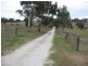 Section 58 Padthaway Rd, Padthaway SA 5271