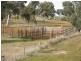 Section 58 Padthaway Rd, Padthaway SA 5271