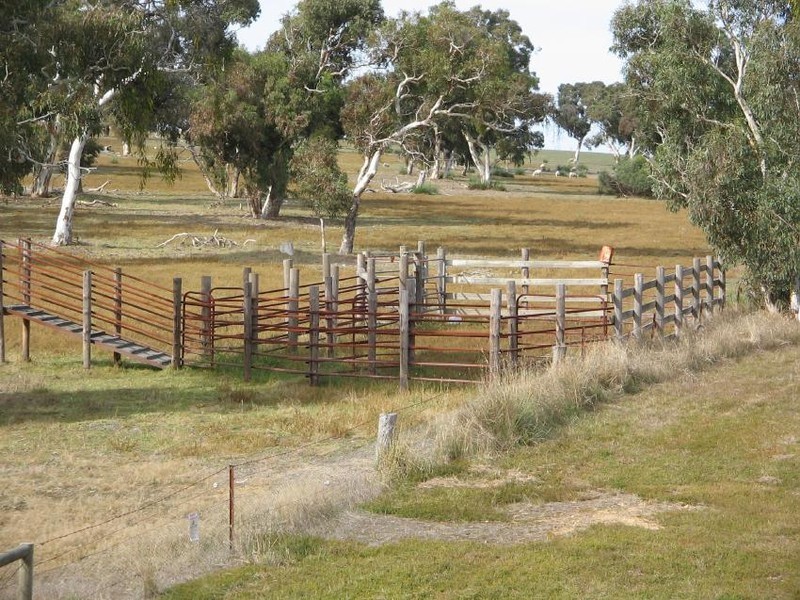 Section 58 Padthaway Rd, Padthaway SA 5271