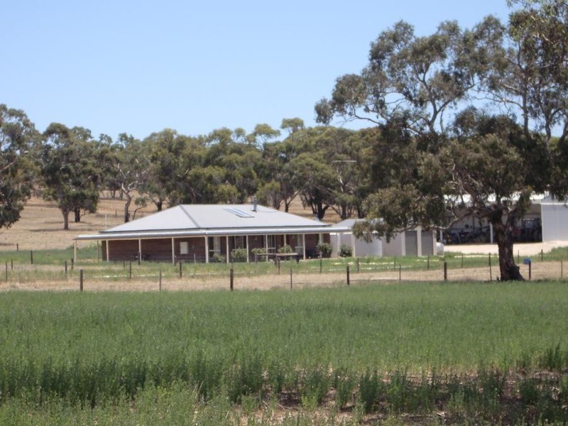 “Alvin Park” Yallawmurray Rd, Padthaway SA 5271