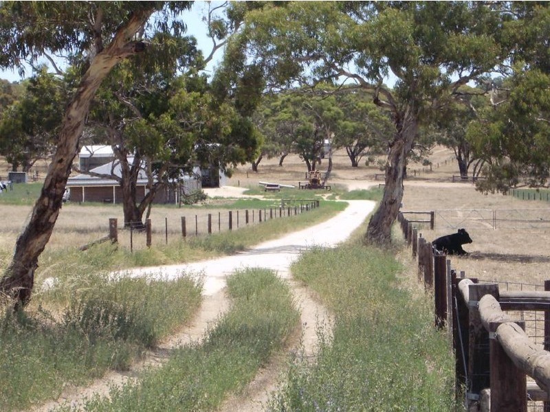 “Alvin Park” Yallawmurray Rd, Padthaway SA 5271