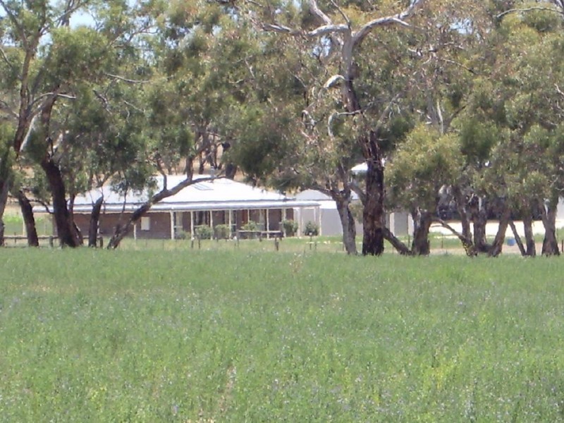 “Alvin Park” Yallawmurray Rd, Padthaway SA 5271
