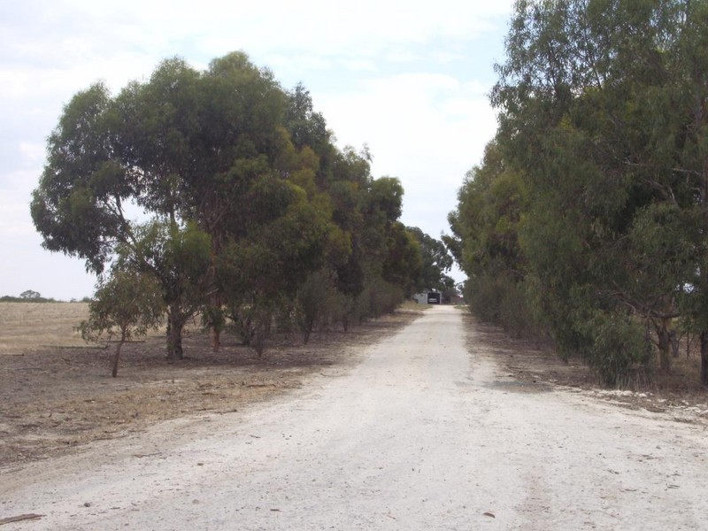 Lot 51 Punjum Rd, Mundulla SA 5270