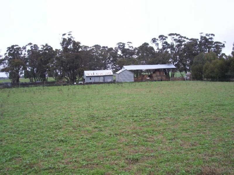 Lot 51 Punjum Rd, Mundulla SA 5270
