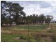 Lot 51 Punjum Rd, Mundulla SA 5270