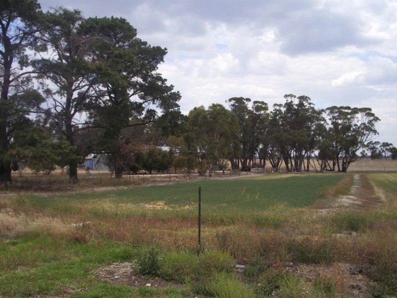 Lot 51 Punjum Rd, Mundulla SA 5270