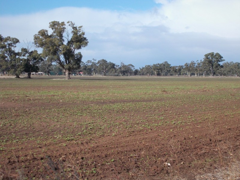 Section 64 Pigeon Flat Road, Mundulla SA 5270