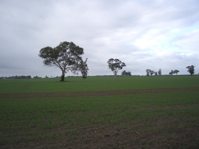 Section 64 Pigeon Flat Road, Mundulla SA 5270