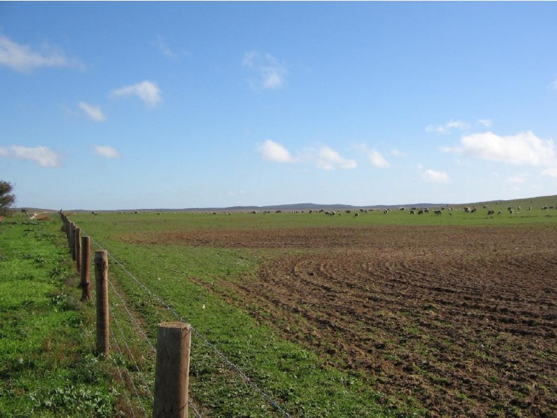 Lot 30 Billiatt Road, Lameroo SA 5302