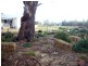 Lot 172 Hilliers Road, Mundulla SA 5270