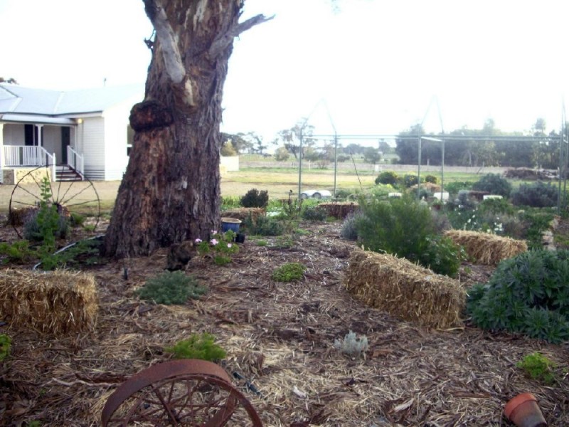 Lot 172 Hilliers Road, Mundulla SA 5270