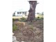Lot 172 Hilliers Road, Mundulla SA 5270