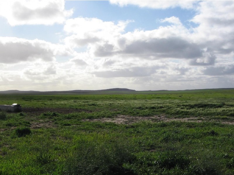 Lot 1B Billiatt Road, Lameroo SA 5302