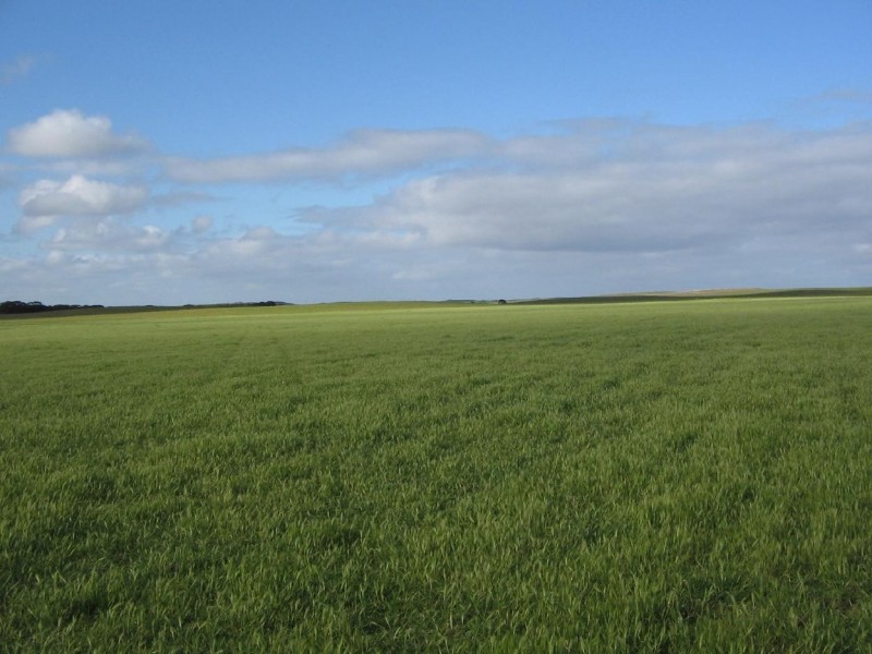 Lot 1B Billiatt Road, Lameroo SA 5302